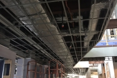 6a7a481d-1334-44b9-b920-26e6b5749172